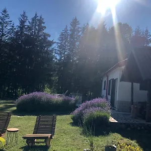 Lavender Bribir Lukovo Bribir (Primorje-Gorski Kotar)